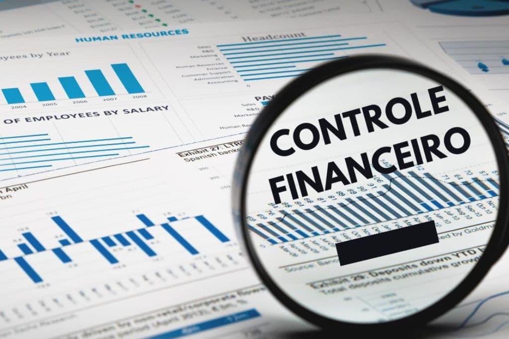 Simplificando O Controle Financeiro. Aprenda Em Alguns Passos! (1) - Invest Consult -  Consultoria Contábil e Auditoria