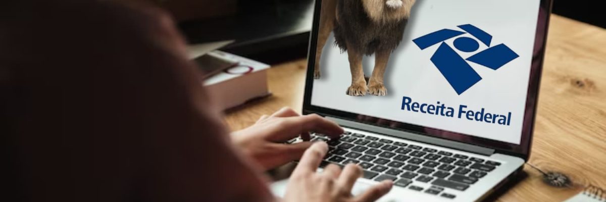 Imposto De Renda 2024 Quem Deve Declarar E Como Simplificar O Processo! - Invest Consult -  Consultoria Contábil e Auditoria